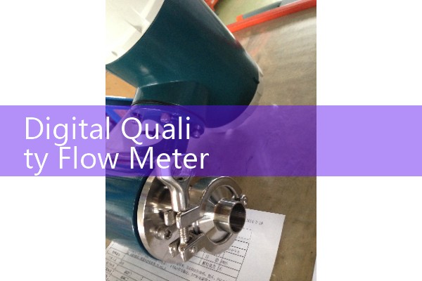 Digital Mass Flow Meter